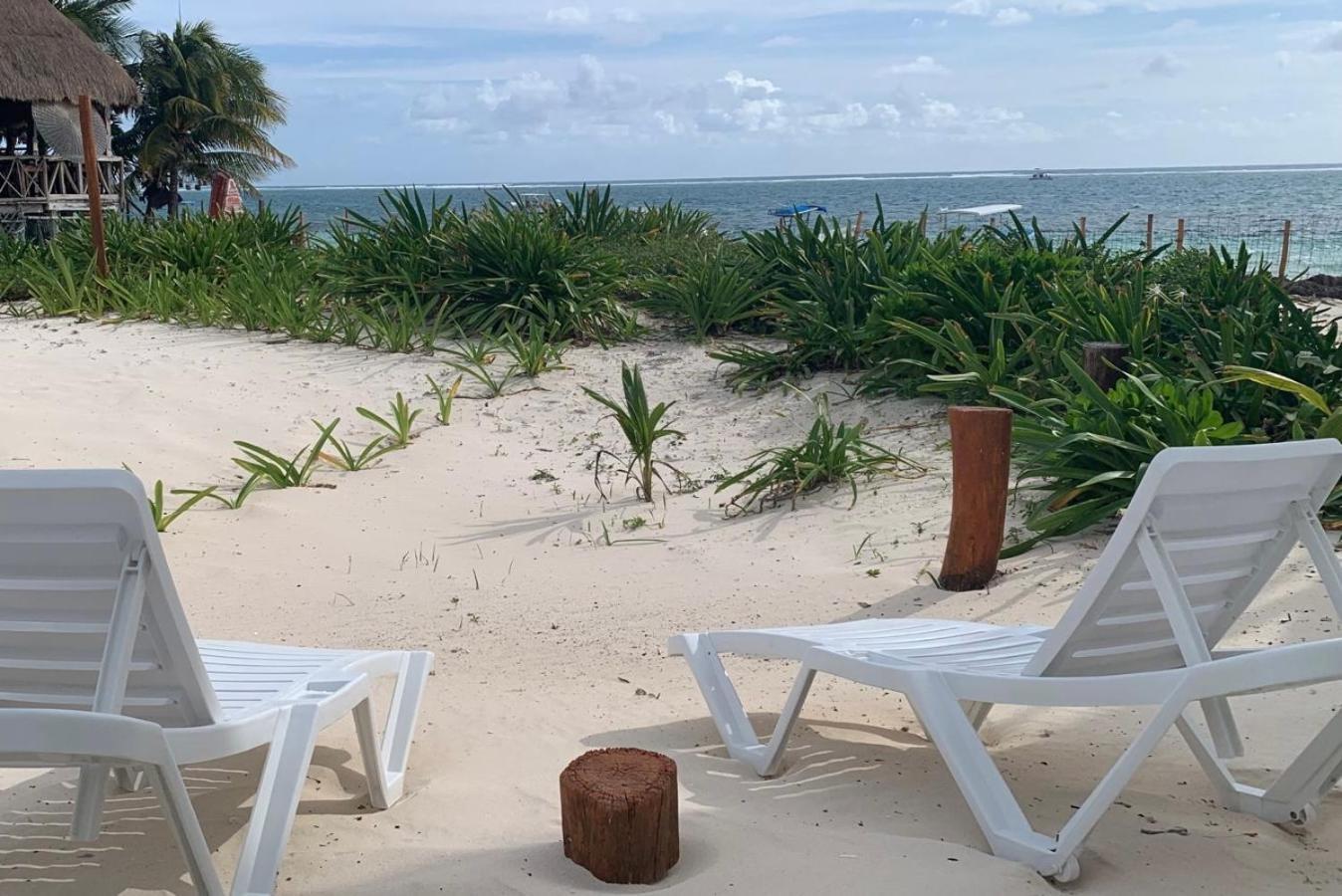 Casa Lucia Beachfront بويرتو موريلوس المظهر الخارجي الصورة